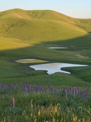 Lakes and wildflowers in the East Bay hills near Dublin, California