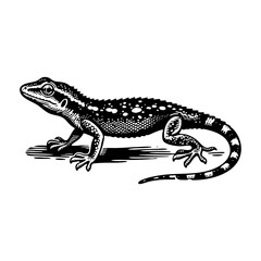 Fototapeta premium House lizard sketch engraving black and white outline. Scratch board imitation.