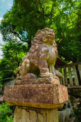 The temple in Gifu, Japan