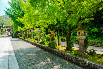 The view of temple in Gifu, Japan
