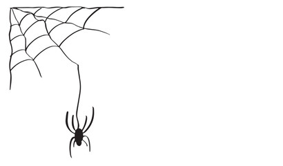 Happy halloween day spider web black color object icon sign symbol spider web skittish scarey fear october month autumn happy halloween copy space party ghost spooky treat or trick spider web line 
