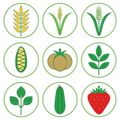 Farm grown plant icons agriculture plants