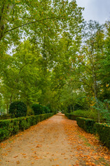 Wide view of gardens at the Royal Palace of Aranjuez