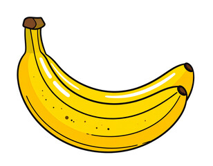 vector illustration of banana