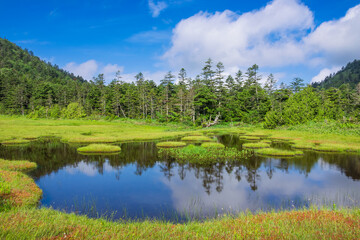 summer landscape with lake and sky