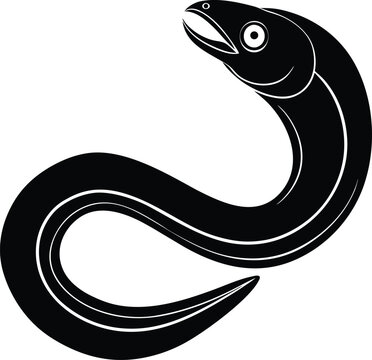hagfish on white background.eps