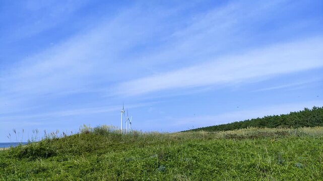 海岸沿いで回る風車とトンボ
