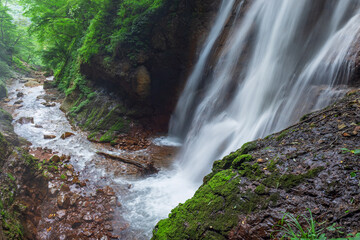 waterfall in the green forest