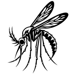 Silhouette of a vicious mosquito
