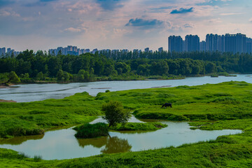 Riverside greenery and city skyline