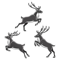 Dark grey reindeer set in motion animal wildlife