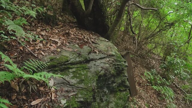 高野山町石道「榧蒔石」157町石 和歌山県かつらぎ町 Kayamaki Stone &ndash; 157th Milestone on the Koyasan Choishi Michi, Katsuragi Town, Wakayama, Japan