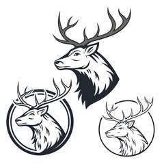 Majestic deer heads with intricate antlers stag