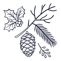 Pine cone holly and fir branch line art holly leaves
