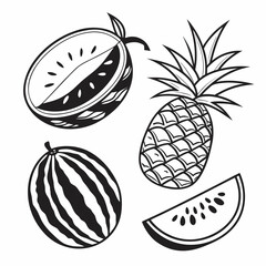 Watermelon and pineapple summer fruit illustrations slice