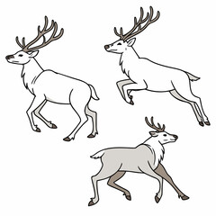 White deer jumping running standing illustration reindeer animal