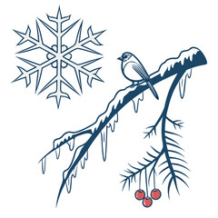 Winter bird on icy branch with snowflake and berries vector