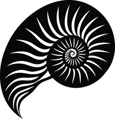 nautilus shell on white background.eps