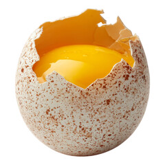 Cracked Egg Shell with Bright Yellow Yolk Inside