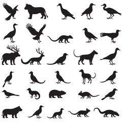 Wild Animal Vector Bundle – Fox, Elephant, Giraffe, Deer, Tiger, Lion, Horse – Cartoon Clipart Set

