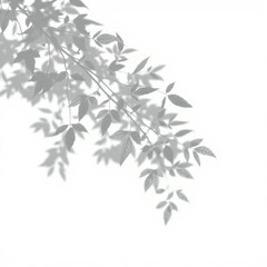shadow overlay effect. Gray shadow of leaves isolated on white background. Plant foliage leaf shadow light effect. Mockup Blurred tree branch shadow. Ideal for summer spring design elements PNG