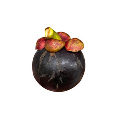 mangosteen isolated on white background