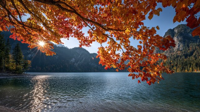 Peaceful autumn lake with vibrant orange and red foliage reflecting on still water in Austria’s Gesäuse National Park, with long shadows, clear blue sky,distant green mountains enhancing scenic beauty