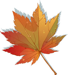 Hand-drawn autumn colored red orange maple leaf isolated on white background. Flat line style vector illustration.