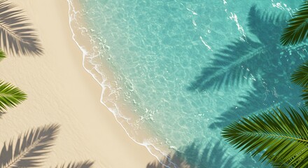palm trees on the beach