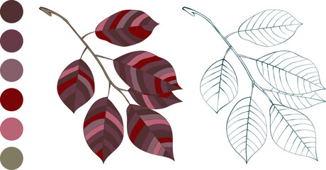Hand-drawn autumn colored leaves isolated on white background. Purple violet branch and color palette, flat and line style vector illustration.