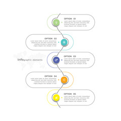 Vector infographic business template colorful design