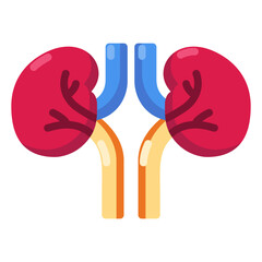 kidneys organ icon