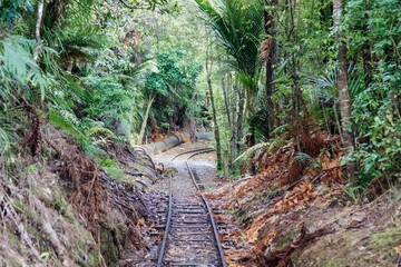 A narrow gauge railway track cuts through lush rainforest in the Waitakeres, Titirangi, Auckland,...
