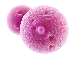 Pink 3D Cells on Transparent Background