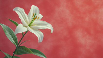 Fototapeta premium A beautifully inspired lily flower with vibrant green leaves on its stem, set against a rich red background, showcasing the delicate petals and natural beauty.