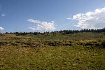 Scenic Mountain Landscape in Peter Sinks, Utah – Alpine Meadows, Rocky Hills, and Pine Forest Under a Blue Sky