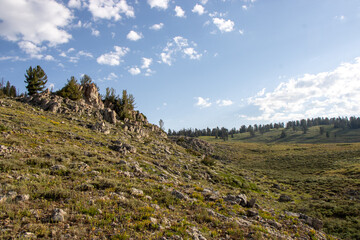 Scenic Mountain Landscape in Peter Sinks, Utah – Alpine Meadows, Rocky Hills, and Pine Forest Under a Blue Sky