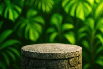  Lush tropical nature creates a vibrant environment perfect for botanical growth and ecological display © tonstock
