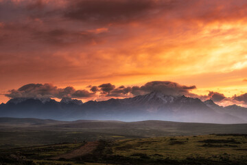 Dawn on the grassland