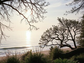 Serene Beach Scene Featuring Silhouetted Trees, Gentle Waves, and a Soft Sunset Reflecting on Calm Waters