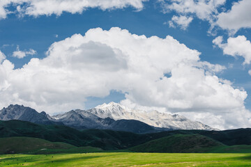 grassland under blue sky and white clouds