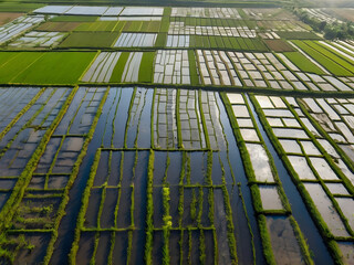 Aerial View of Flooded Rice Paddies Reflecting the Sky