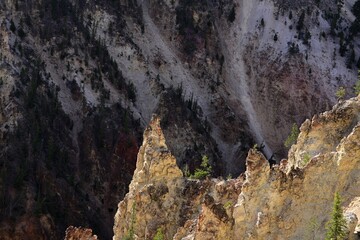 canyon in yellowstone 