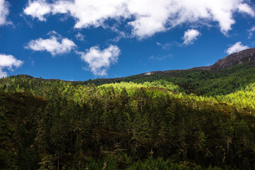 Obraz premium Mountains and forests under blue sky and white clouds