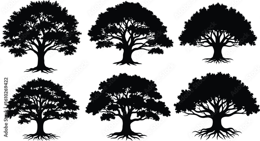 Poster vector art of a collection of oak trees with visible roots creates a natural pattern
