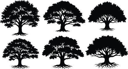 Obraz premium Vector art of a collection of oak trees with visible roots creates a natural pattern