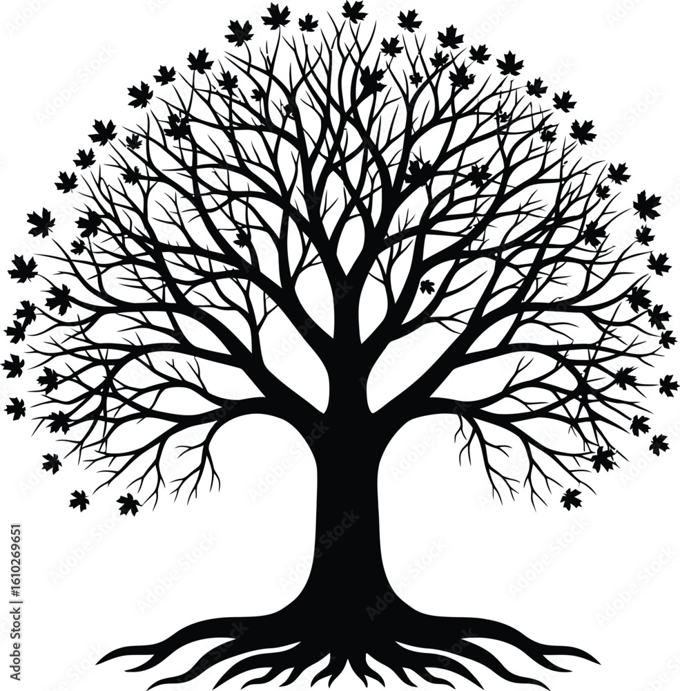 Poster vector art of a silhouette of a deciduous tree with sparse leaves is, showcasing its intricate branc