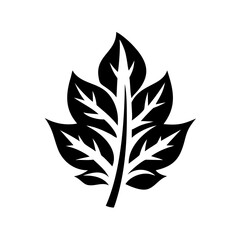 Illustration of a detailed black leaf on a white background