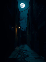 A dark alleyway under a full moon, where the shadows twist into unnatural forms and whispers seem to come from the walls themselves.