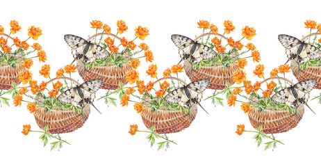Watercolor seamless border with butterfly and frying flowers Trollius in wicker basket on white background. Orange summer wildflower. Herb aromatherapy bouquet. Botanical rim for wallpaper wrapping